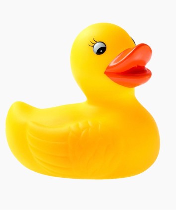 Orange rubber ducky